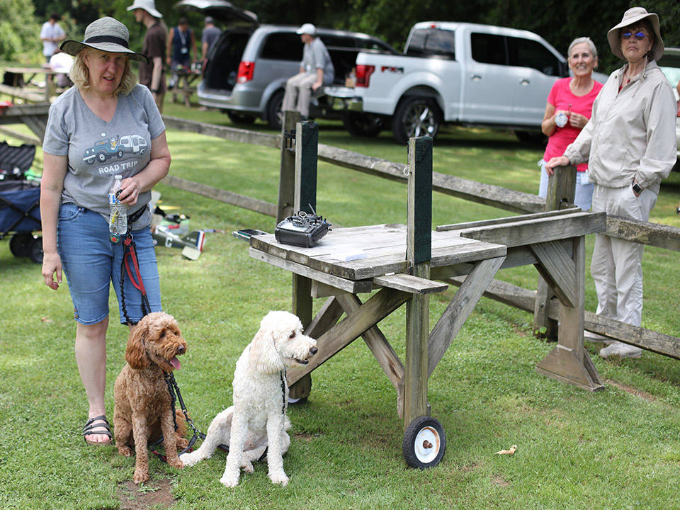 Dogs at the field